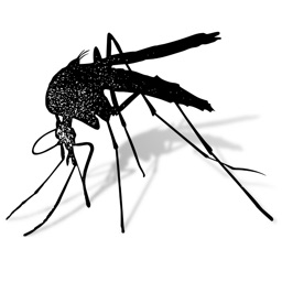 Mosquito Monitoring