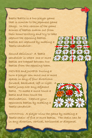Beetle Battle Game - náhled