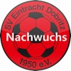 Eintracht Dobritz - Nachwuchs