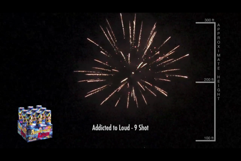 Spark Firework Videos screenshot 3