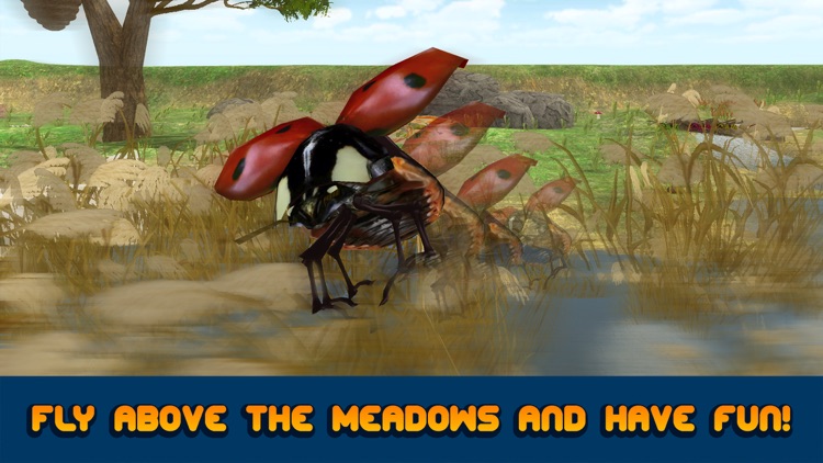 Flying Ladybug Insect Simulator 3D screenshot-3
