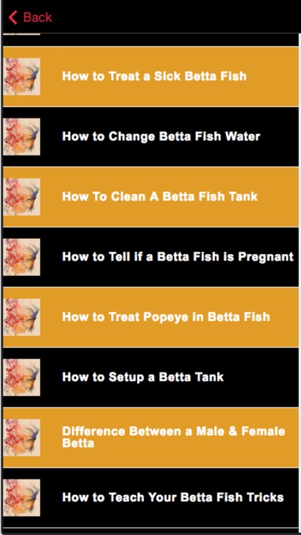 Betta Fish Care - Tips for Raising a Healthy Betta screenshot-4