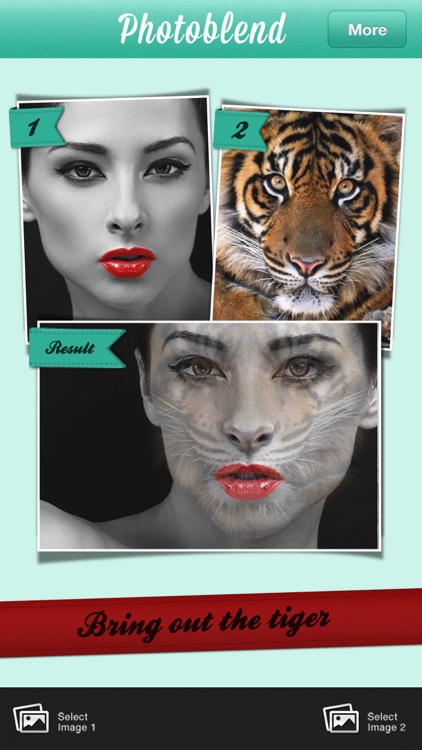 Photoblend pic blender- double exposure picture