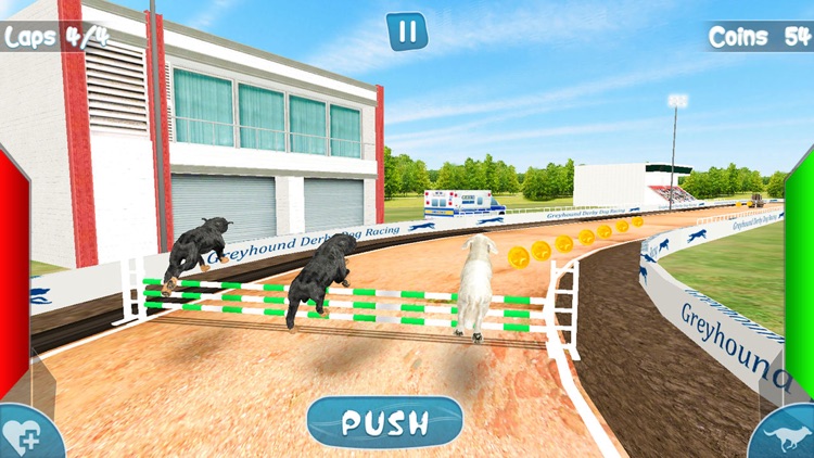 Greyhound Derby Dog Racing - Wild Dog 3D Simulator