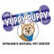 The Yuppy Puppy, LLC