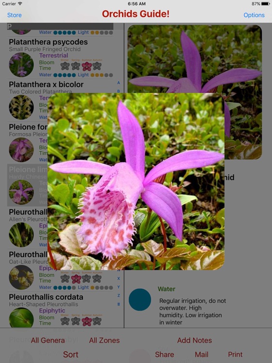 Orchids Guide HD!