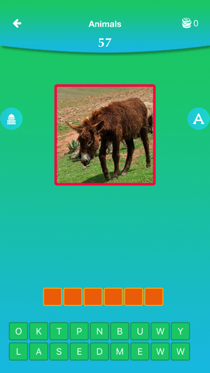 Pics Quiz