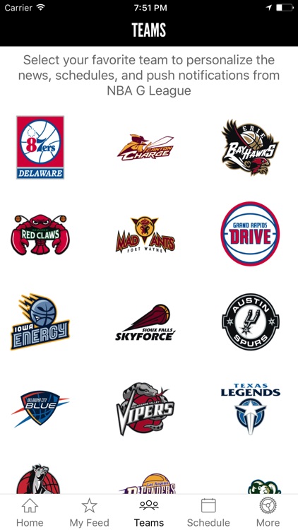 NBA D-League screenshot-3