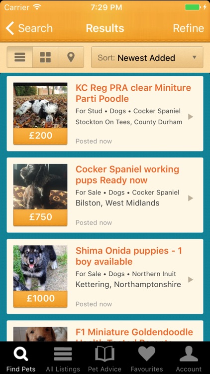 Pets4Homes