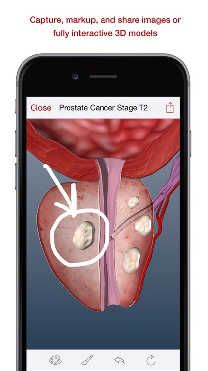 BioDigital 3D Human Anatomy screenshot-4