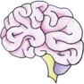 Get Brain Focus for iOS, iPhone, iPad Aso Report