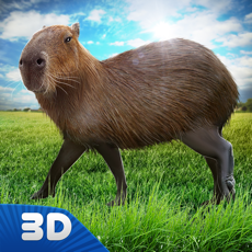 Activities of Capybara Wild Life Simulator 3D