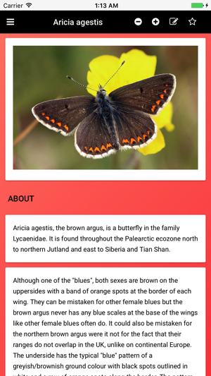 Butterfly Species of Great Britain(圖2)-速報App