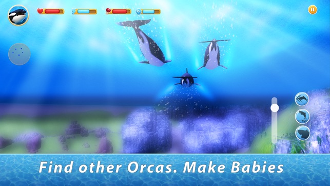 Orca Family Simulator(圖2)-速報App