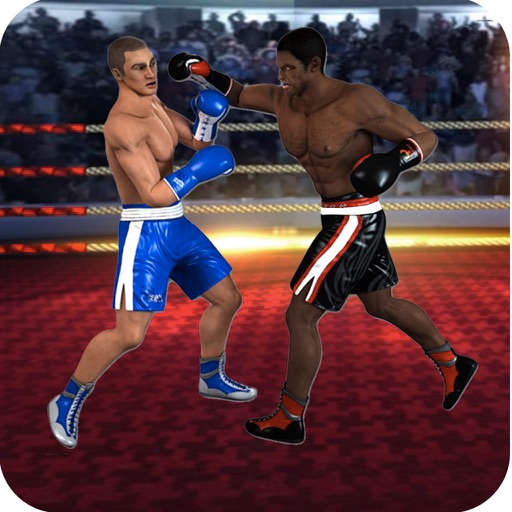 Real Wrestling Fighting