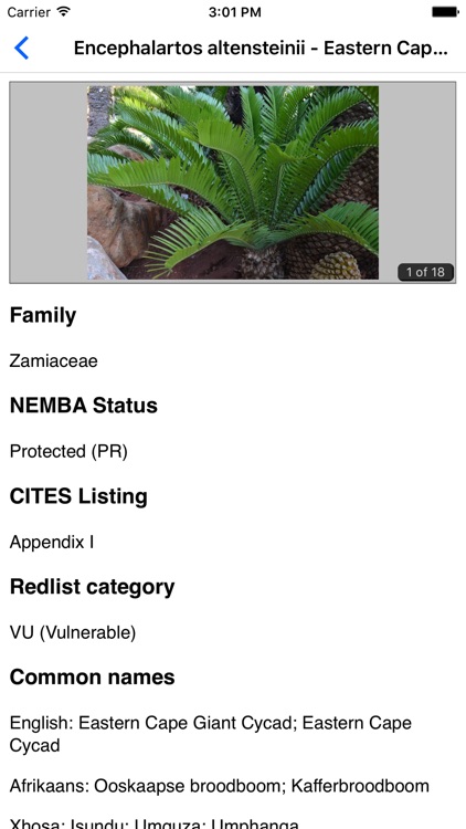 IDentifyIt Cycads screenshot-3