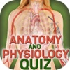 Anatomy And Physiology Quiz On Human Body Organs