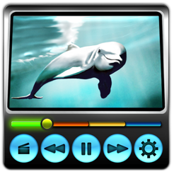 Desktop Movies