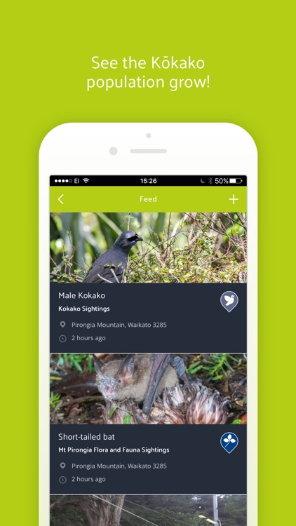 Kōkako screenshot-3