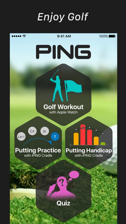 PING screenshot-0
