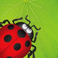 Activities of Ladybug Munch