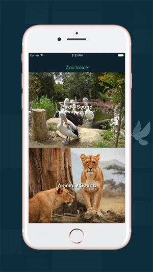 Zoo Voice(圖1)-速報App