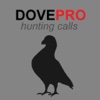 Dove Calls for Hunting Doves