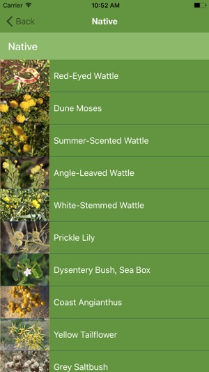 Coastal Plants(圖2)-速報App