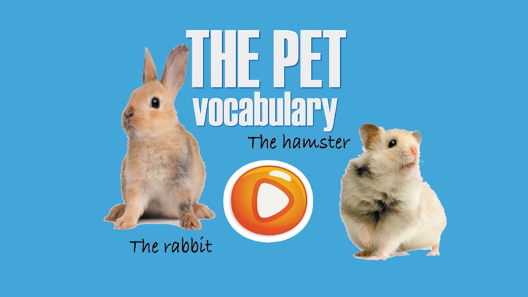 The Pet Name Vocabulary