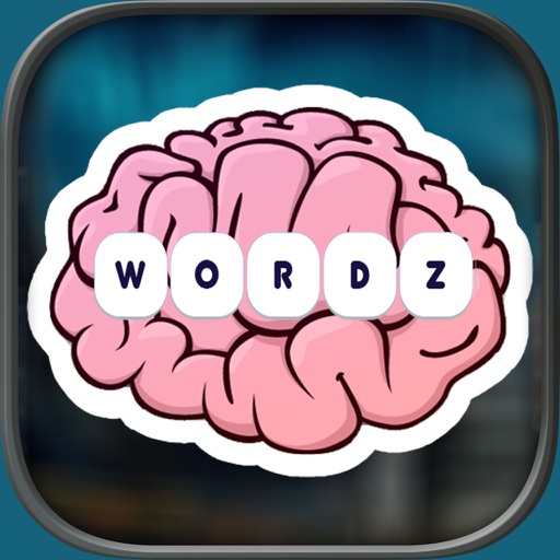 300 Words Puzzle icon