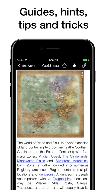 Pocket Wiki for Blade & Soul