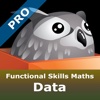 Functional Skills Maths Data Pro