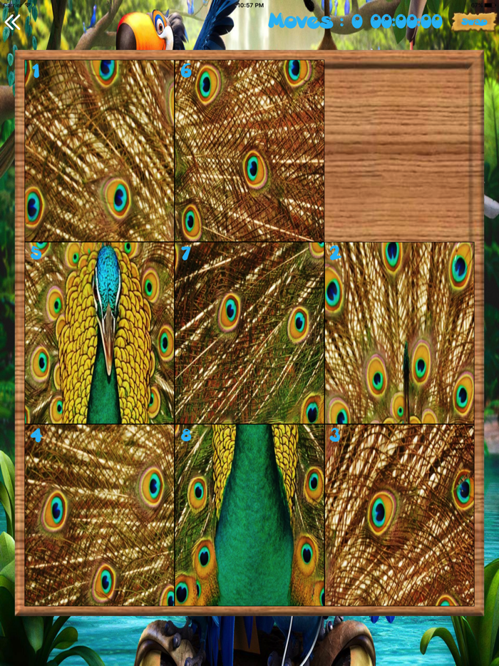 Amazing Birds Puzzles