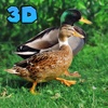 Flying Duck Simulator: Wild Bird Life 3D