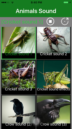 Animals Sound - Animal Sound Effects Free(圖2)-速報App