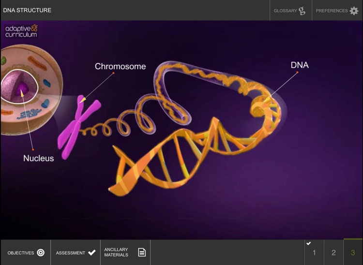 Exploring the Structure of DNA screenshot-3