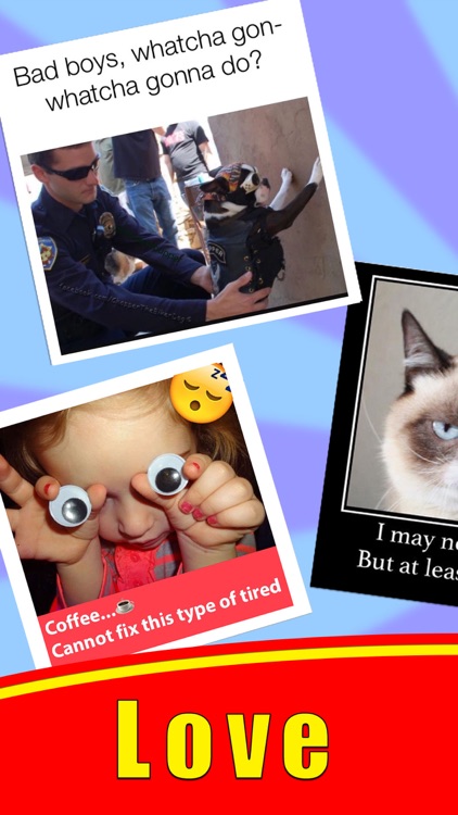 MEME Maker Make Your Own Memes Generator + Creator