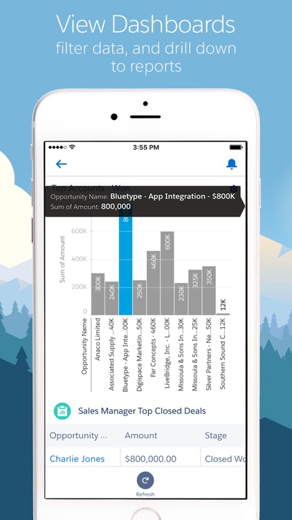 Salesforce1