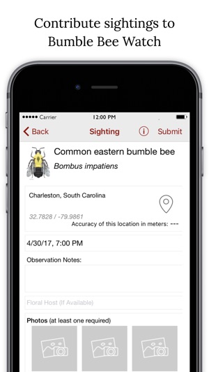 Bumble Bee Watch(圖4)-速報App