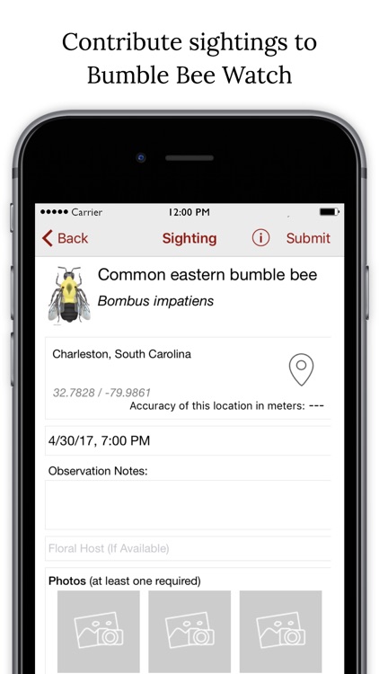 Bumble Bee Watch screenshot-3