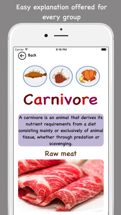 Tip Tap learn, what do animals eat? screenshot-4