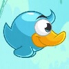 Cute Blue Duck Adventurez