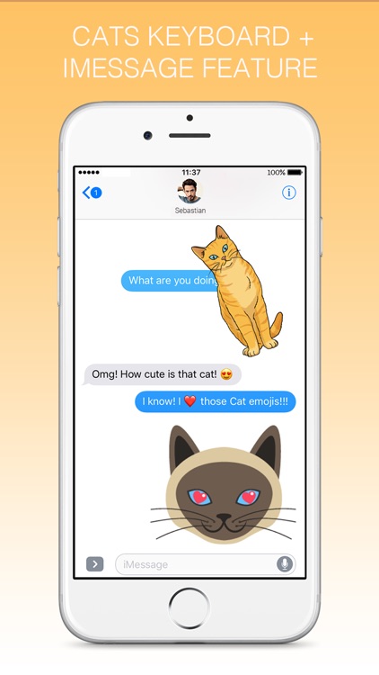 Cats - emoji sticker pack for cat lovers
