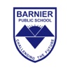 Barnier Public School