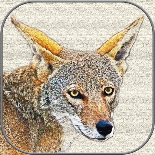 Canvas Art - Photo Filter Icon