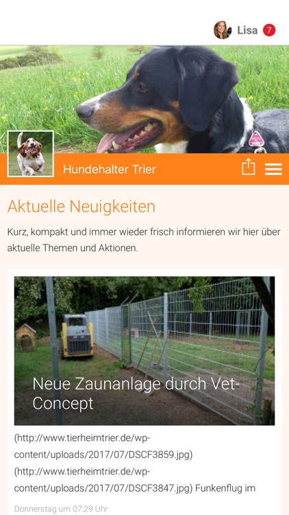 Hundehalter Trier