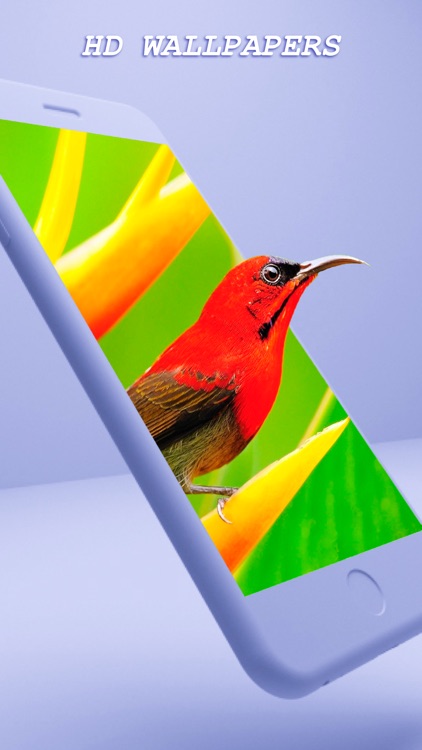 PhotoWall - Stylish Wallpapers