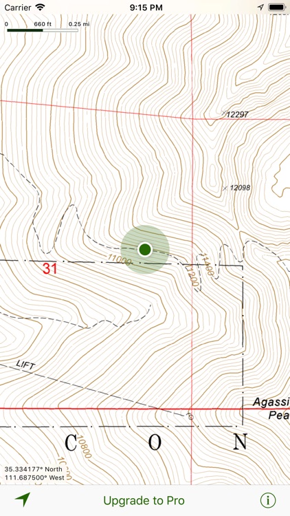 Forest Maps 2