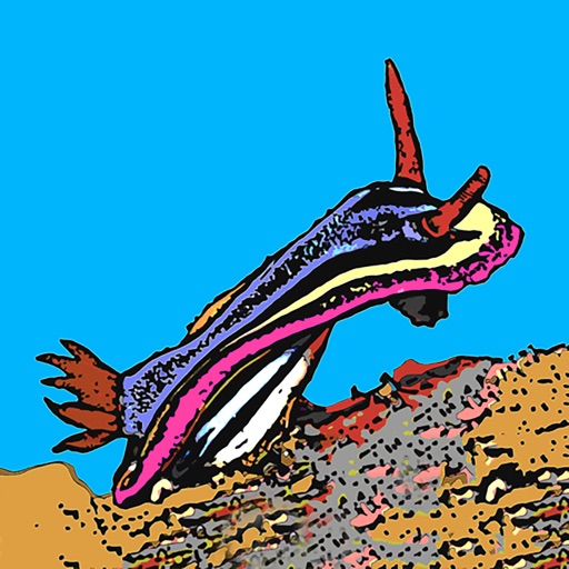 Nudibranch HD icon