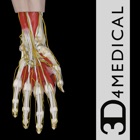 Top 29 Medical Apps Like Hand & Wrist Pro III - Best Alternatives